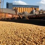 Exportações de soja devem chegar a 73 milhões de toneladas em 2019