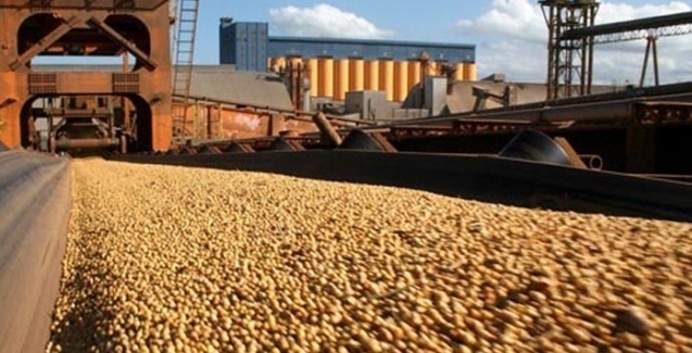 Exportações de soja devem chegar a 73 milhões de toneladas em 2019