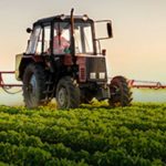Plano Agrícola e Pecuário: Financiamento da produção aumentou 14%